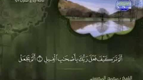 سورة الفيل كاملة الشيخ القارئ محمد المحيسني