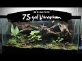 75 Gal Bio-Active Vivarium Build