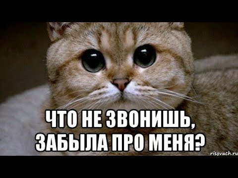 Мне плохо я домой хочу мем