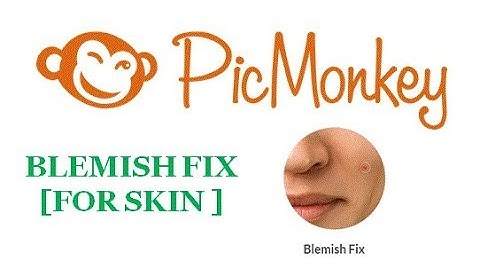 Blemish Fix touchup tool | picmonkey