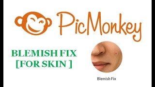Blemish Fix touchup tool | picmonkey