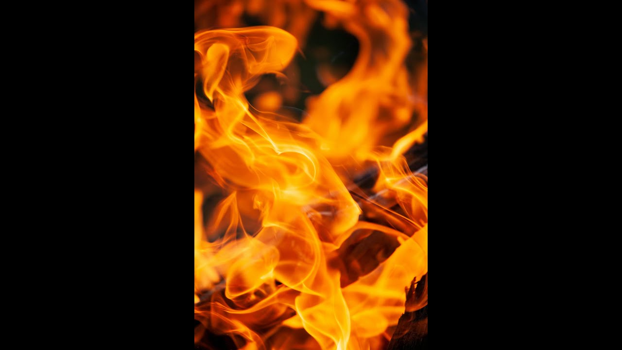 Leo. Be cautious and use your intuition while dating