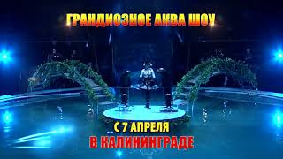Грандиозное шоу "Цирк на Воде" Грандиозное шоу "Цирк на Воде"