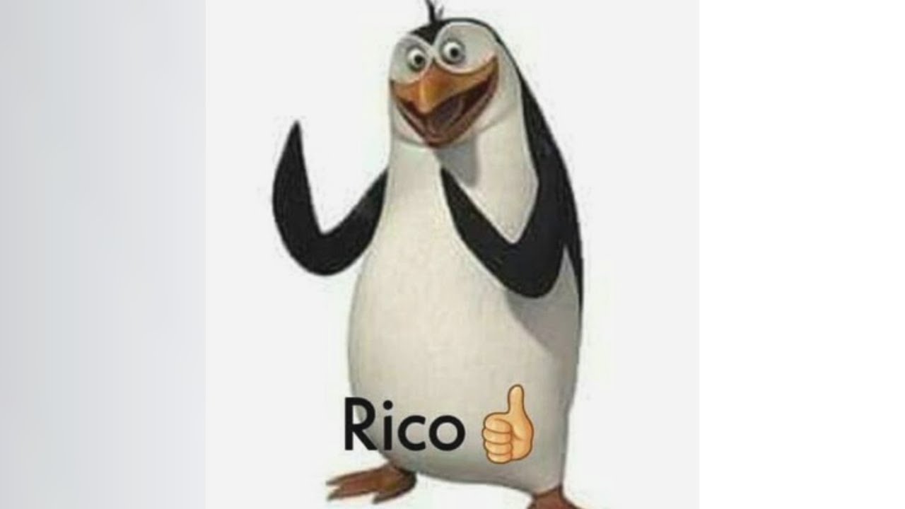 MEMES MUY XD #61