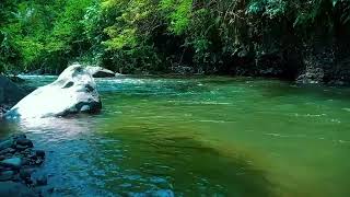 Nature water sounds relaxing and soothing healing stress and anxiety meditation sleeping