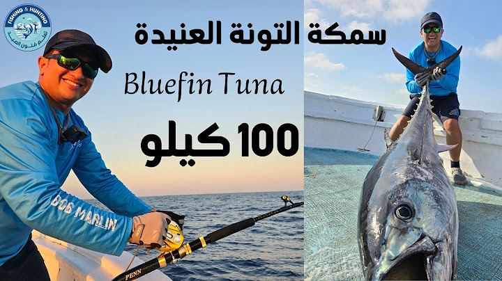 سمكة التونة العنيدة ( Bluefin Tuna )  بوزن 100 كيلو