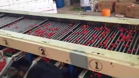 Cherry tomato sorting machine