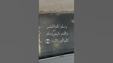 #القران_الكريم_كاملا #quran #اكسبلور  سورة ابراهيم