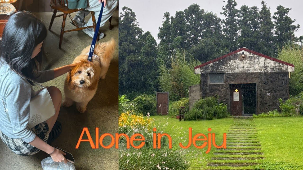 vlog. 나혼자제주🍊애월부터 서귀포까지 야무지게 돌아다닌 제주도 여행 브이로그ㅣ제주 맛집ㅣ카페 추천ㅣ소품샵ㅣ빈티지샵ㅣ커마카세ㅣjeju island