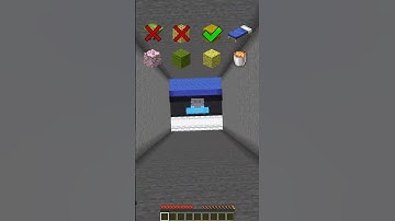 Fall damage vs Blocks😬