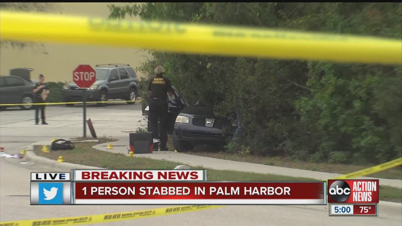 1 person stabbed in Palm Harbor