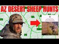 Arizona Desert Sheep Hunt | Draw Odds | Hunting Areas #muledeerhunting