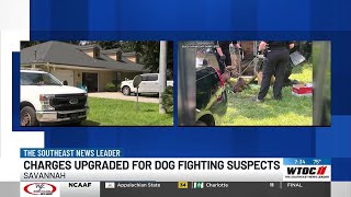 Drugs, guns, money, and 13 dogs seized in Savannah raid; multiple people arrested