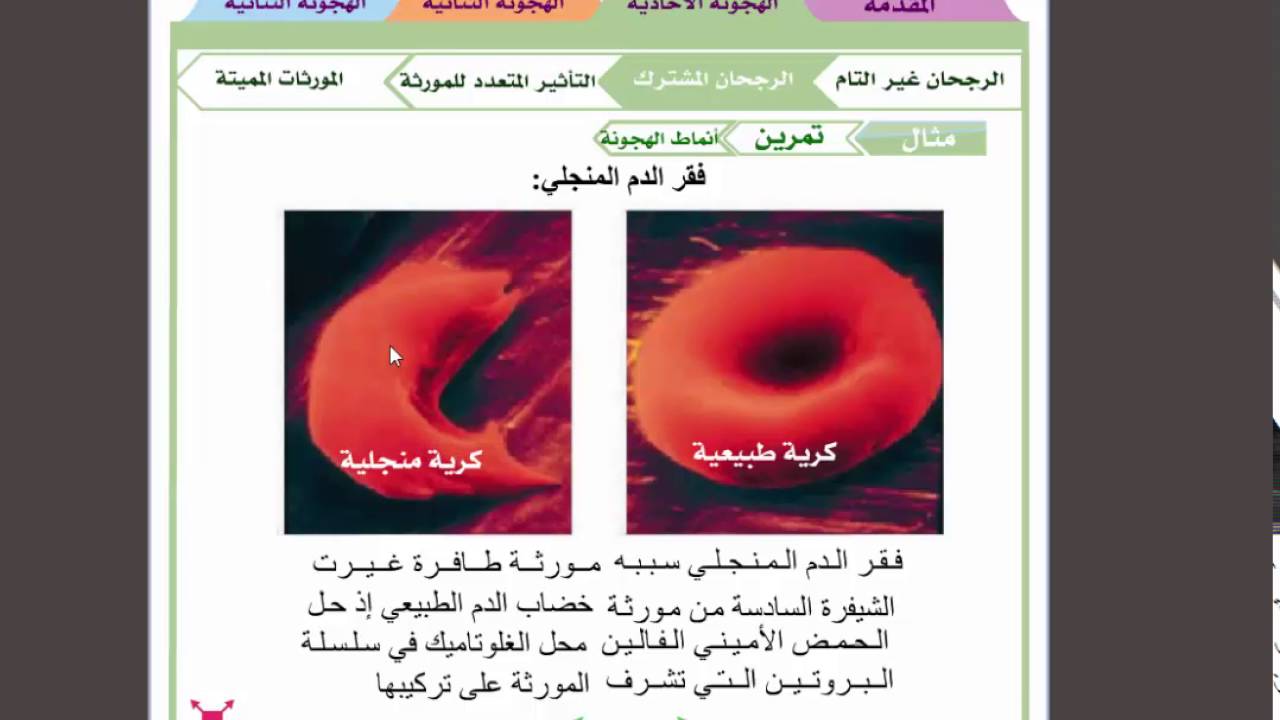 الرجحان المشترك