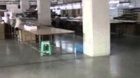 eHIROBO.com - Skyartec WASP100 NANO CP Flybarless Helicopter Flight 2