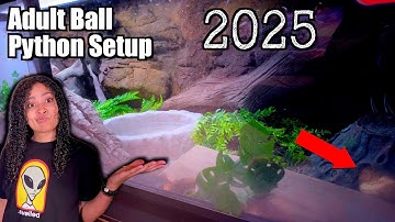 6ft Tank for A Ball Python?! | NEW Ball Python Setup 2025