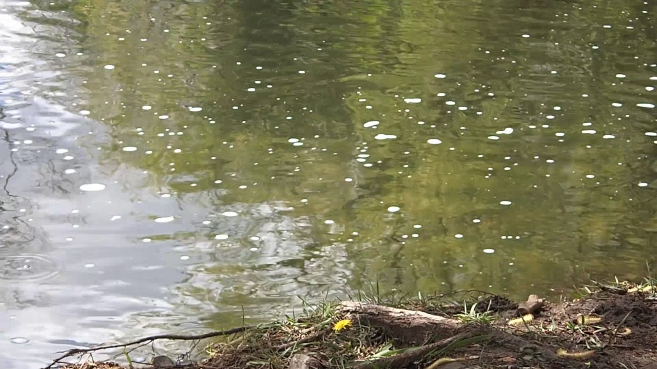 Bear Creek Brown Trout YouTube bear-creek-brown-trout-youtube