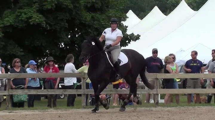 Susan Elsner & Three Bees Fox RIver Valley Pony Cl...