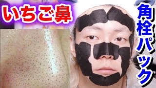 【閲覧注意】３日間お風呂に入らずに鼻の角栓パックを顔中にやってみたら・・・。