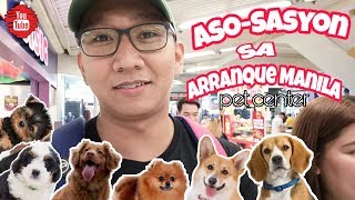 arranque divisoria pet shops