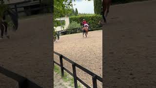 Rider Holds On Tight as Horse Tries to Throw Her