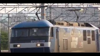 EF210 126牽引 8053レ 貨物列車
