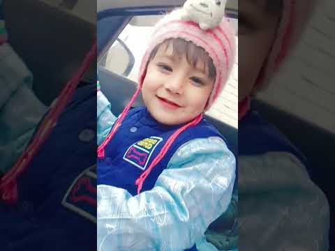 Cute vloggers in a car
