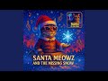 Santa Meowz and the Missing Snow