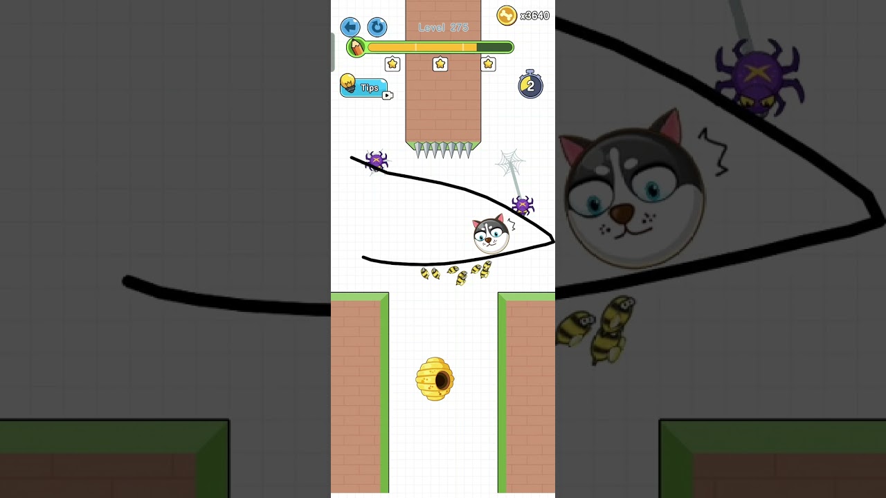 Game 🐶 Save The Doge Level 275 Perfect 3 Stars Gameplay