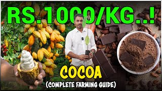 The Ultimate Guide to COCOA FARMING | Integrating with Other Crops for Improved Agricultural Income!