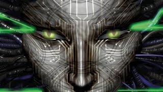 L-L-Look at you, Hacker [Shodan Tribute]