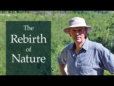 The Rebirth of Nature
