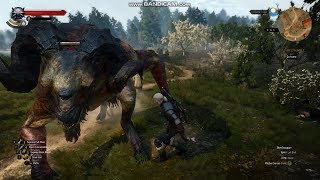 Witcher 3 Wild Hunt - Killing the cow lord