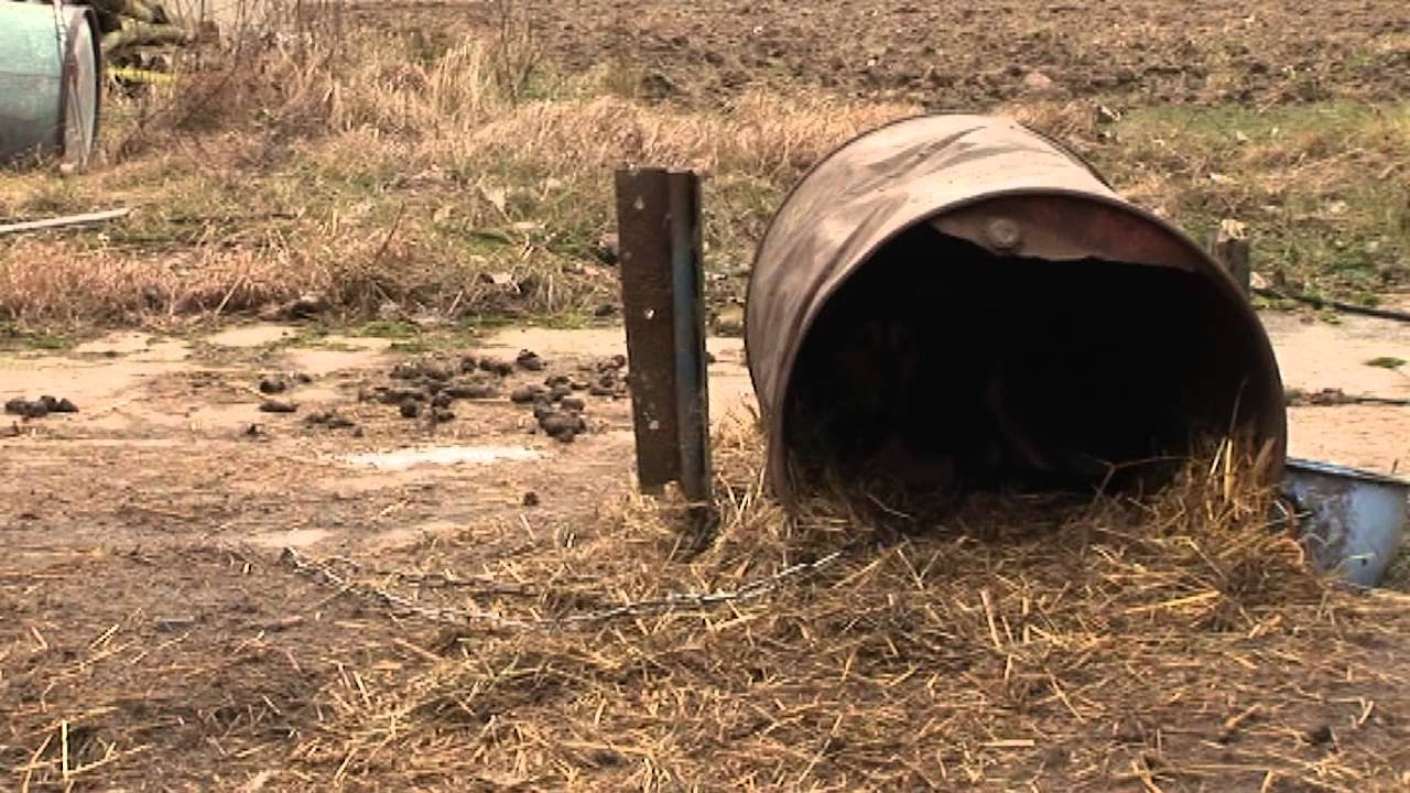 SKANDALICZNE TRAKTOWANIE PRACOWNIKÓW ORLENU?