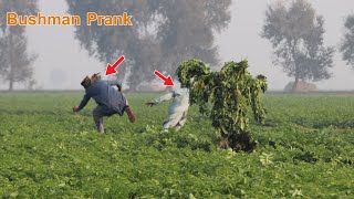 Bushman Prank | Prank in Pakistan | Bush Man New laugh Videos 2023