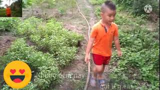 karaoke tôi vẫn nhớ nhạc sống cha cha cha tone nam.
