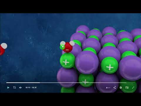 Video: ¿El ácido nucleico se disuelve en agua?