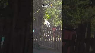 Жизнь которая была раньше, осталась там. И там есть жизнь! Бог тишина, спокойствие и природа великая