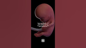 فتبارك الله احسن الخالقين - القارئ ياسر الدوسري #اكسبلور