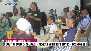 Government Should Encourage Farmers With Soft Loans - Economist screenshot 4