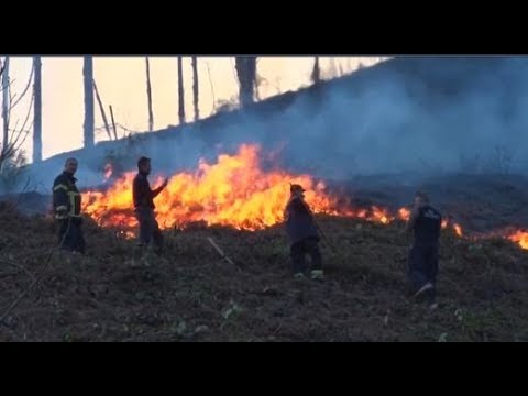 ბოლო 24 საათის განმავლობაში  საქართველოს სხვადასხვა ტერიტორიაზე  ხანძრებს ებრძვიან