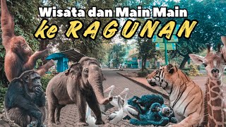 Wisata ke Taman Margasatwa Ragunan di 2024