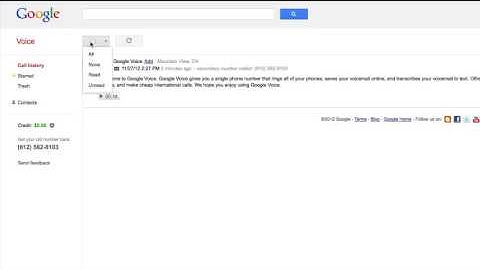 How to delete Google Voice call history