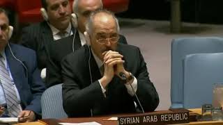 Экстренное заседание Совета Безопасности ООН от 14.04.18