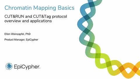 CUT&RUN vs CUT&Tag: How they work and when to use each assay