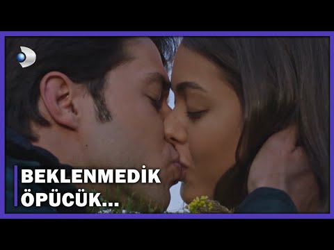 Kelebek'ten, Su'ya Beklenmedik ÖPÜCÜK! - Bodrum Masalı 17.Bölüm