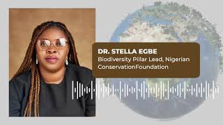 Nigerian Conservation Foundation, Experts Urge President Tinubu to Sign Endangered Species Act