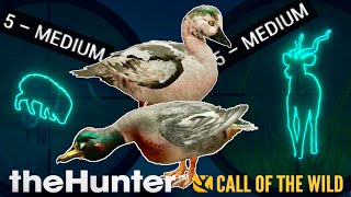 ANOTHER BLUE HYBRID EURASIAN TEAL?! PLUS FINDING COOL TROPHIES IN SINGLEPLAYER IN CALL OF THE WILD!