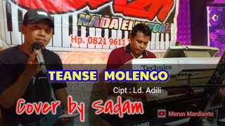 LAGU WANCI | TEANSE MOLENGO | COVER SADAM KAPOTA