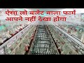 Layer Poultry Farming Information Shed Cages